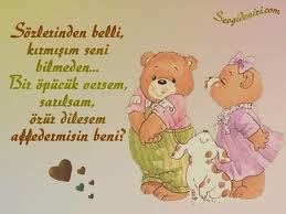 ozur_dilerim_askim (2)-2a5.jpg